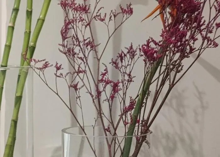 Elizabeth Dream House Edh * Βόλος