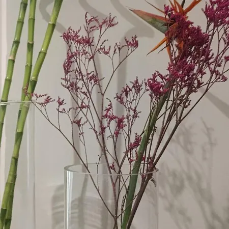 Elizabeth Dream House Edh * ヴォロス